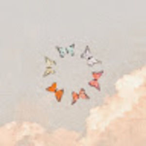 Meet your Posher, Simarna